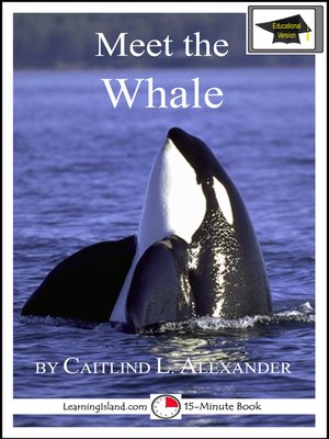 cover image of Meet the Whale